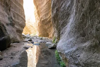 Akamas Jeep Safari